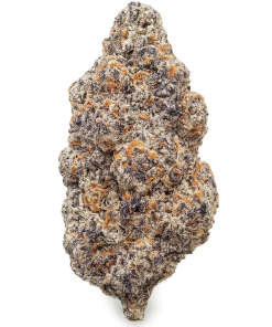 Taste the FLVR - Yellow - Image 3
