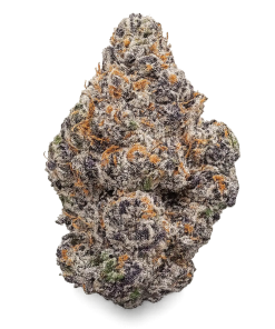 Alternative view of Taste the FLVR - Purple