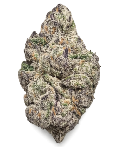 Alternative view of Taste the FLVR - Green