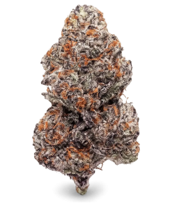 Alternative view of Taste the FLVR - Orange